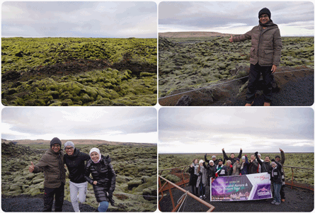 Lumut Hijau di Eldraun Lava Field Iceland